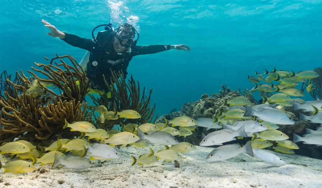 Darah Travel Newsletter explore belize | Darah Travel