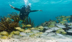 Darah Travel Newsletter explore belize | Darah Travel