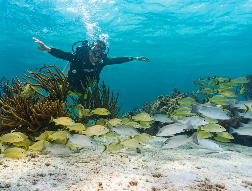 explore belize the great barrier reef | Darah Travel