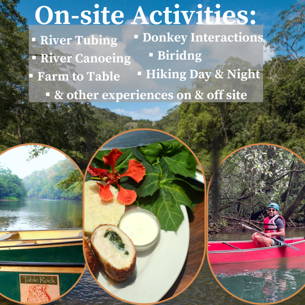 White and Brown Food Facebook Video Promo 1 | Darah Travel