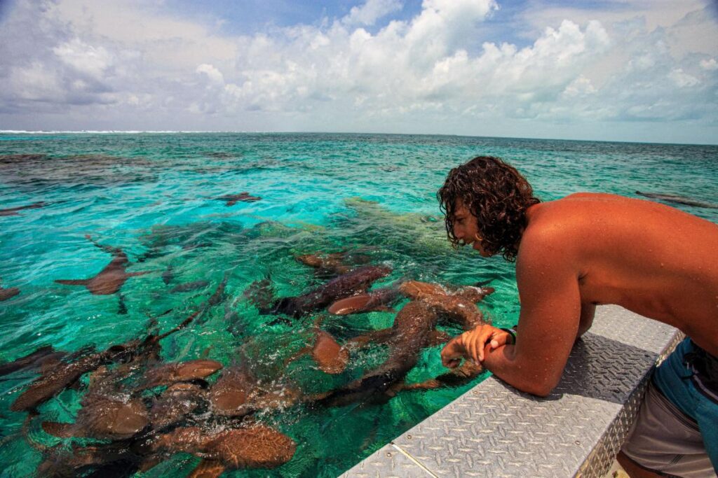 HOL C | Darah Travel