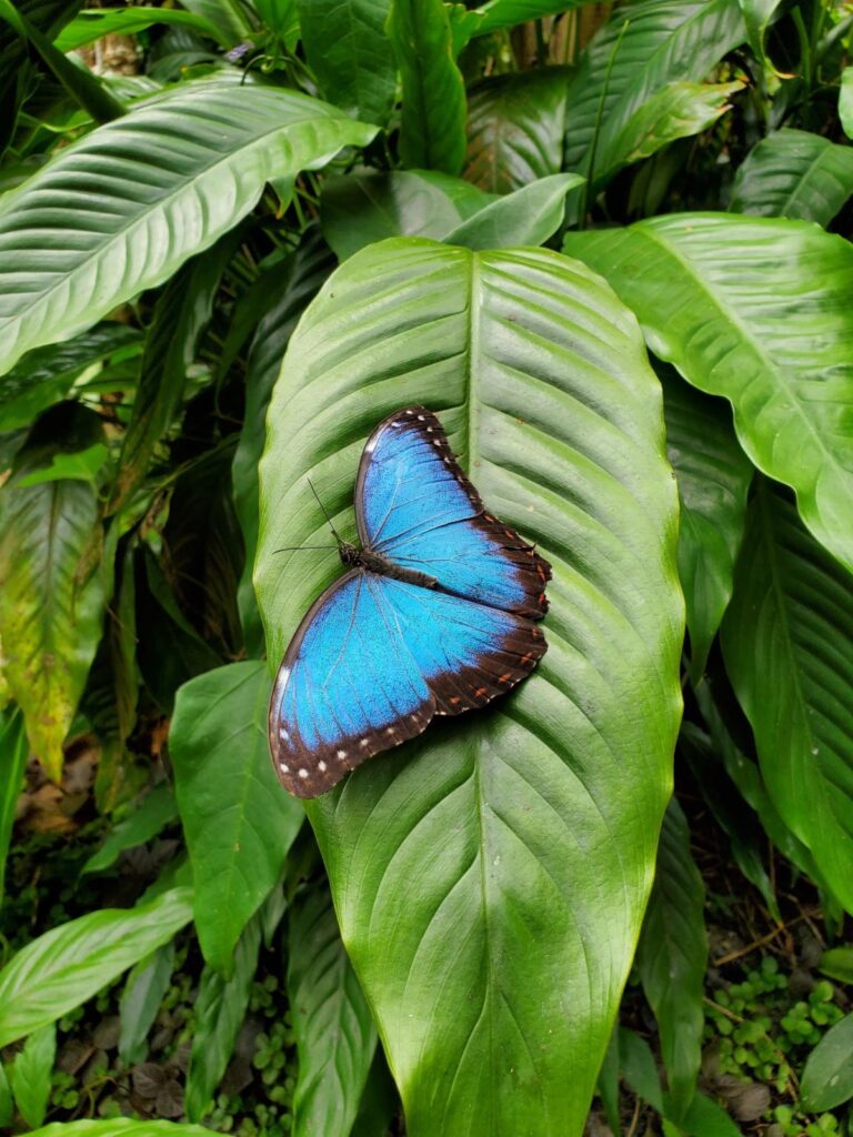 WhatsApp Image 2025 07 23 at 9.31.40 AM 3 | Darah Travel