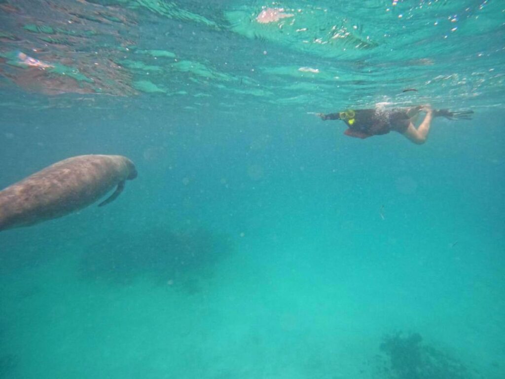 WhatsApp Image 2025 09 09 at 7.12.27 PM | Darah Travel