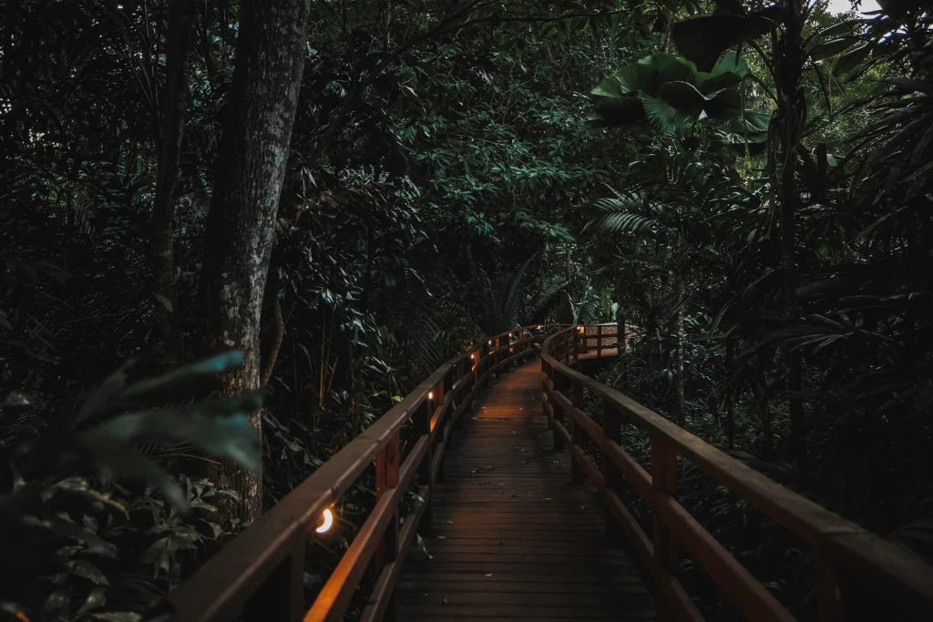 Lamanai Outpost Lodge: An Authentic Belize Jungle Lodge Experience