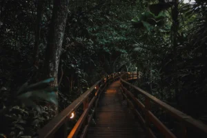 darah travel blog lodge | Darah Travel